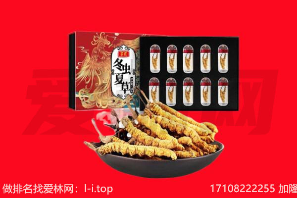 岳阳回收虫草.jpg